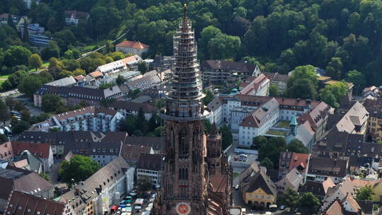 Münster in Freiburg