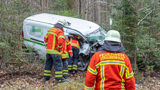 VU L565 Neuenbürg Schwann