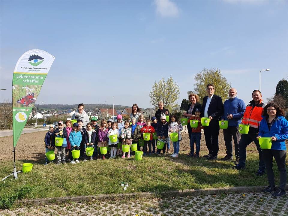 Blühende Wiesen in Niefern: Gemeinde ist Teil eines Naturpark-Projekts