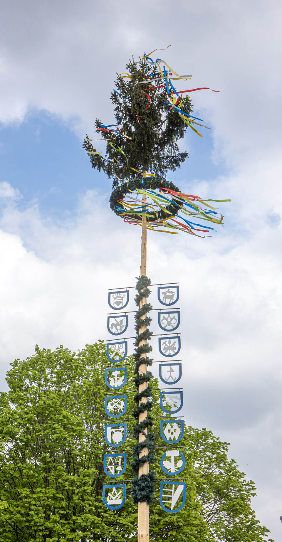 Maibaum Würm