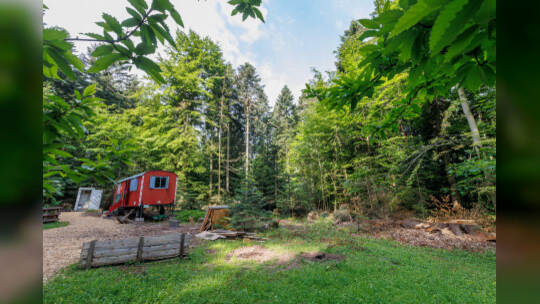 Waldkindergarten Straubenhardt