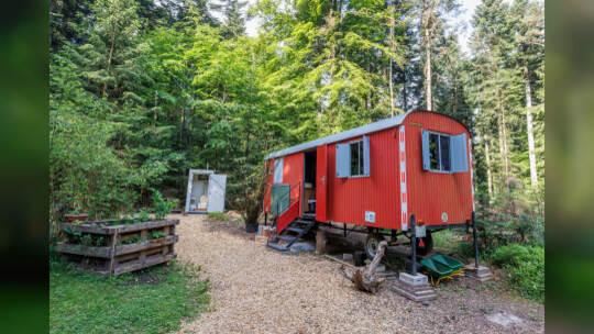Waldkindergarten Straubenhardt