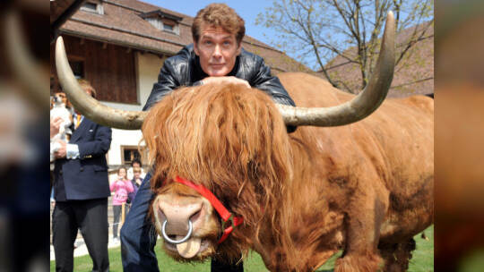 David Hasselhoff besucht Gut Aiderbichl
