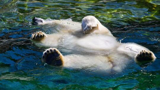 Hitze in Deutschland – Zoo Hannover