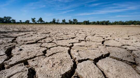 Niedrigwasser in der Donau