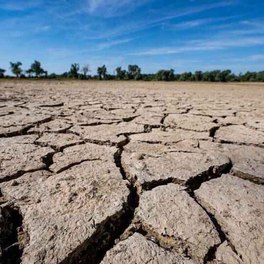 Niedrigwasser in der Donau