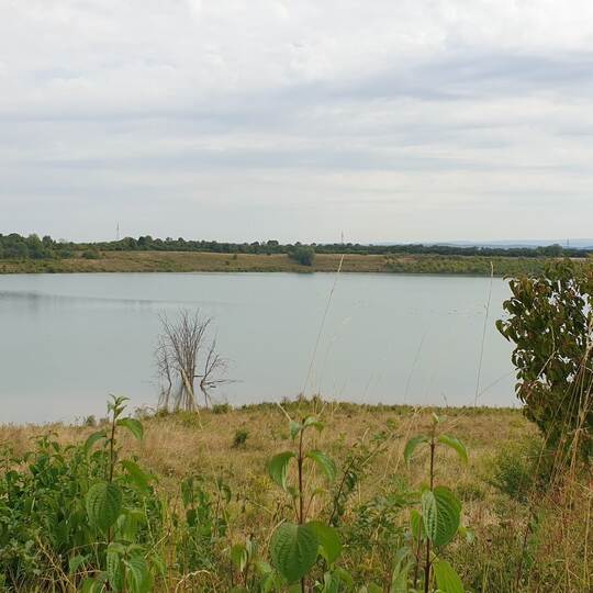 Teufelsee im hessischen Wetteraukreis