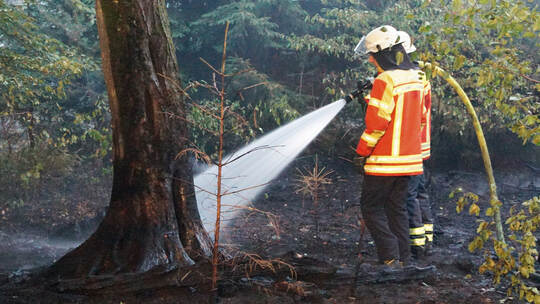Brand im Hardtwald