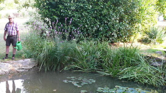 Letzte Rettung für Tiere im Teich Gewässer im Lehrgarten in Göbrichen