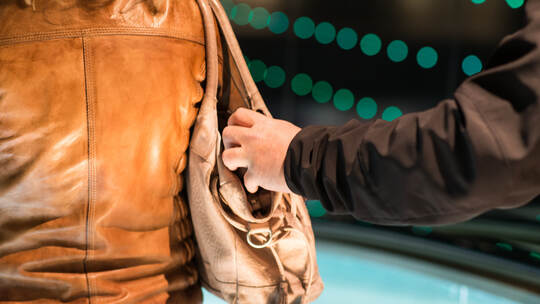 diestahl aus der handtasche