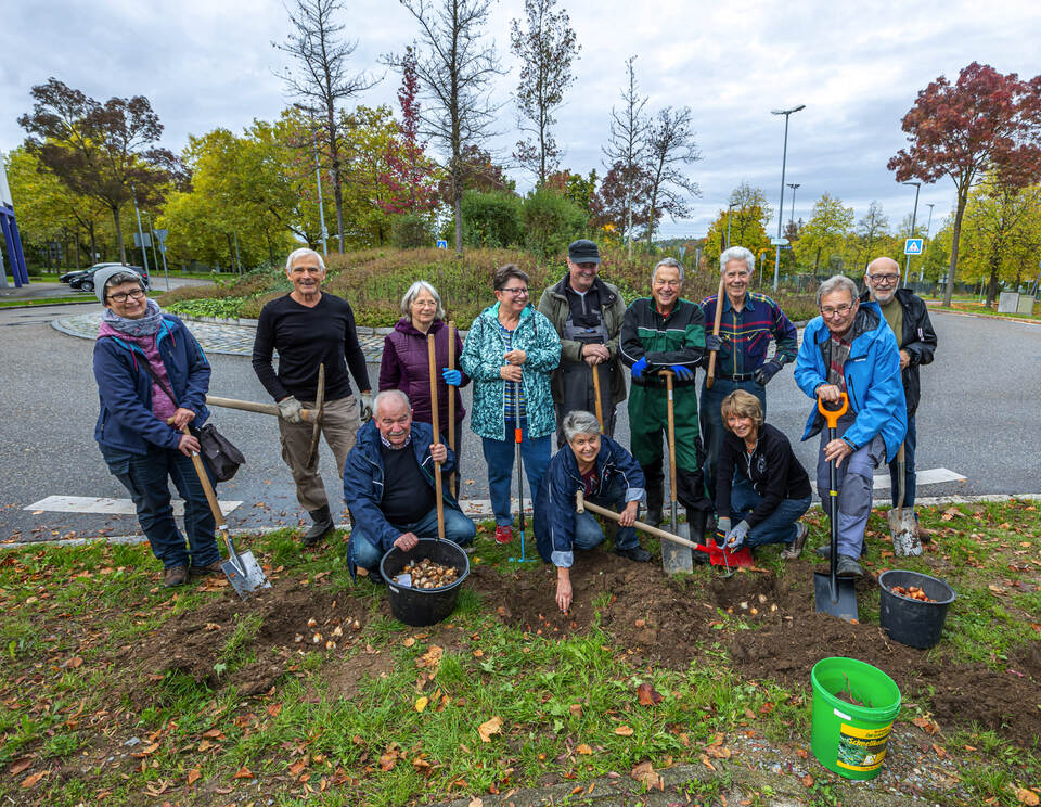 Der Haidach blüht auf 8700 Blumenzwiebeln für bienenfreundliche
