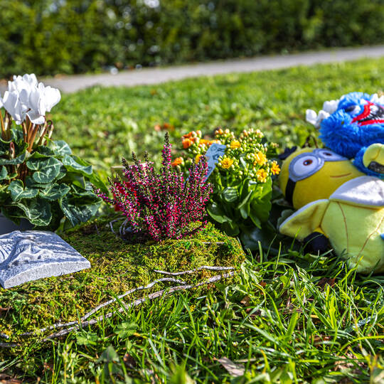 Tödlicher Unfall Tiergarten