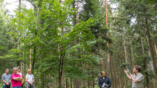 Waldbegehung Waldklimapfad Schellbronn