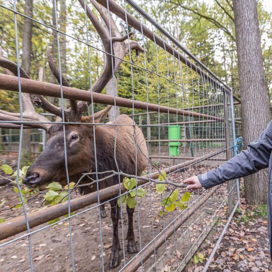 Staatssekretärin Gisela Splett Wildpark