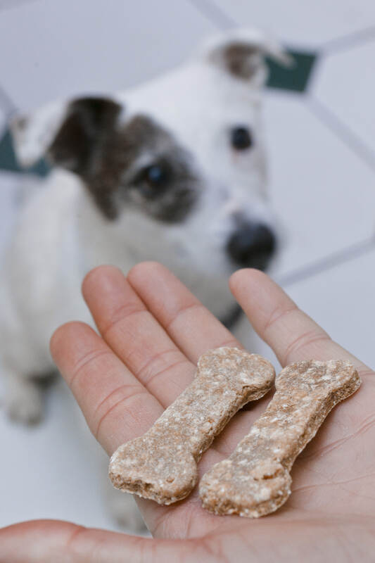 Weihnachts-Adventskalender für Hunde - Lilys Kitchen - 100 g
