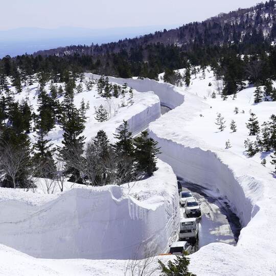 Schnee in Aomori