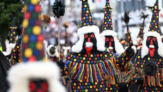 Narren ziehen durch Tettnang Narren ziehen durch Tettnang