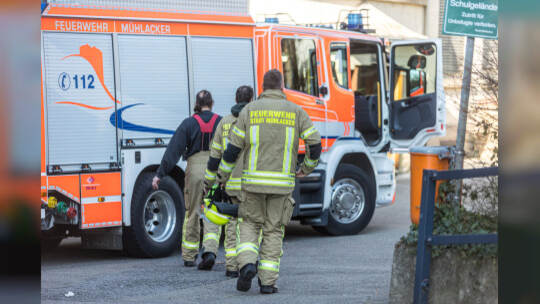 Reizgasattacke Schillerschule Mühlacker