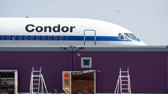Condor