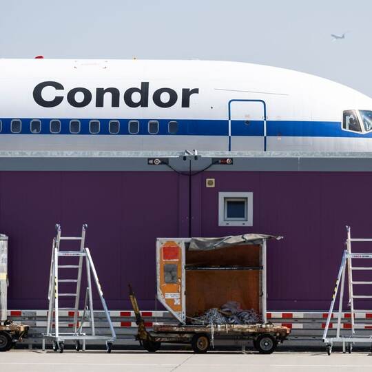 Condor