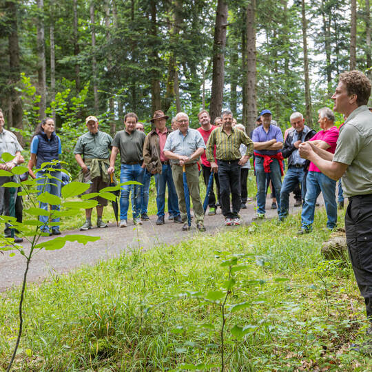 Waldbegehung Waldklimapfad Schellbronn