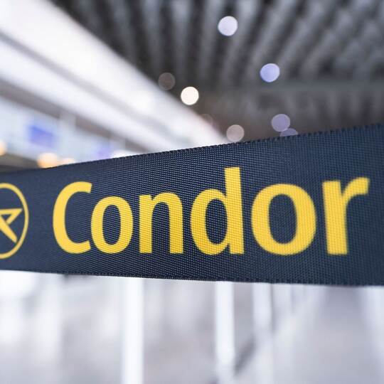Condor