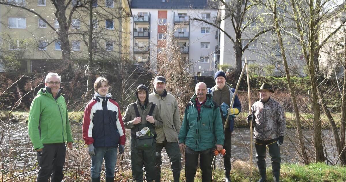 Folgen des Klimawandels: Bachforellen sterben in der Region aus ...