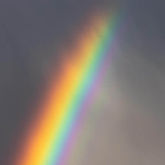 Regenbogen über Köln
