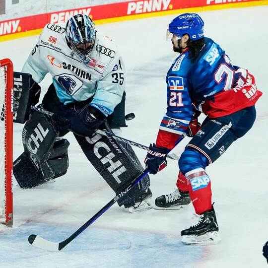 Adler Mannheim - ERC Ingolstadt