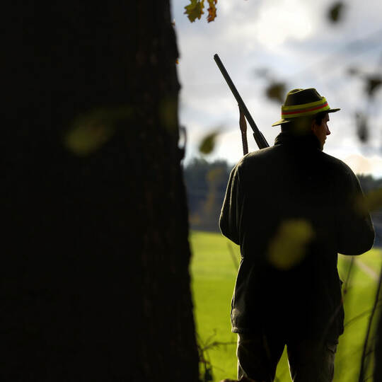 Jagdstatistik in Thüringen