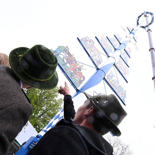Neuer Maibaum am Viktualienmarkt