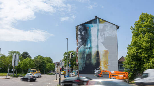Guido van Helten Urban Art