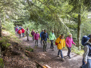Schau Mal wo du lebst Sommerberg Holzarbeiten
