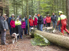 Schau Mal wo du lebst Sommerberg Holzarbeiten