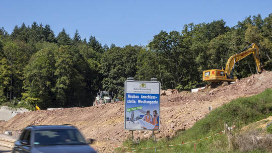 B294 Sperrung Arlingertunnel und Forstarbeiten