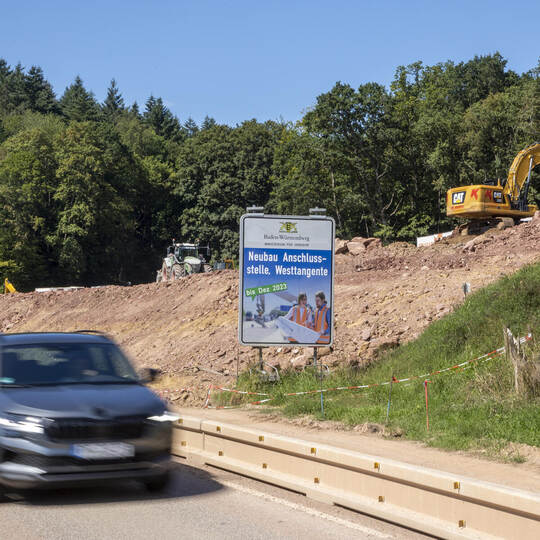 B294 Sperrung Arlingertunnel und Forstarbeiten