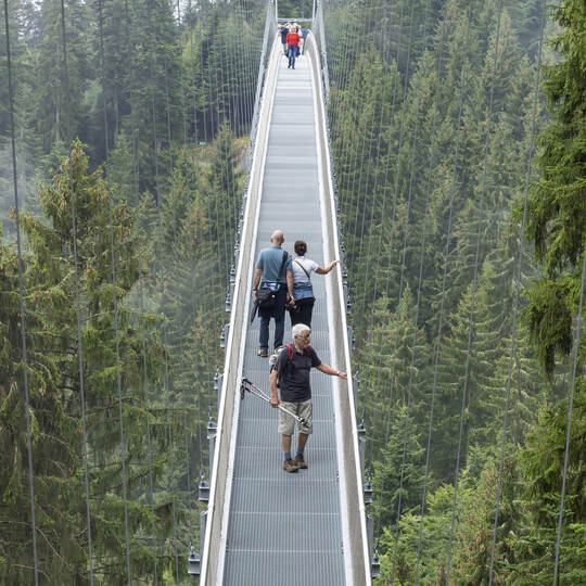 Schau mal wo ich lebe - Wildline Bad Wildbad