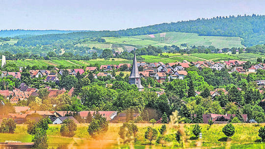 Landschaft Oberderdingen