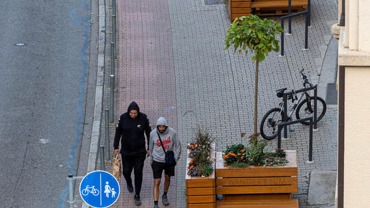 Wanderbäume Nordstadtschule Radweg