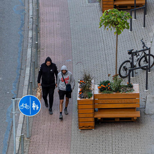 Wanderbäume Nordstadtschule Radweg