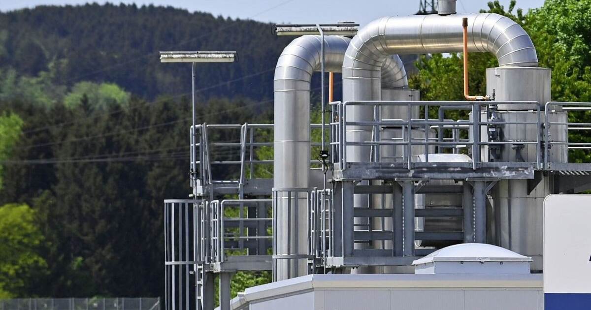 L’Austria utilizza il gas russo: gli esperti vedono negligenza – politica