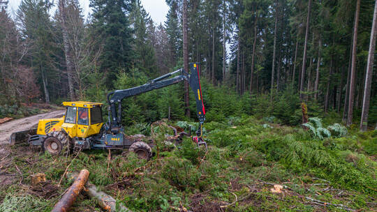 Windernergieanlage Kälbling Calmbach
