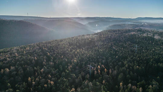 Birkenfeld Gewann Bergwald
