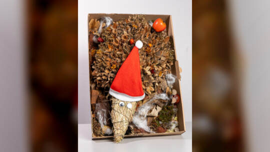 Jannis Brenk (9) Königsbach