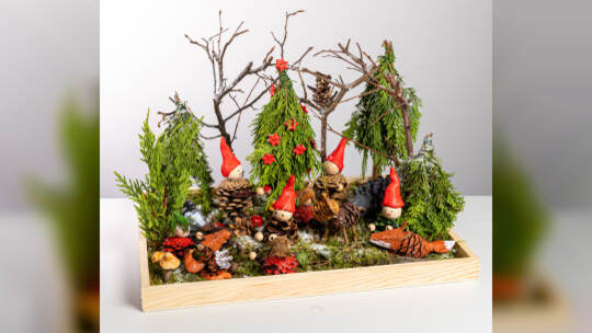 Lara Hess (7) Wimsheim