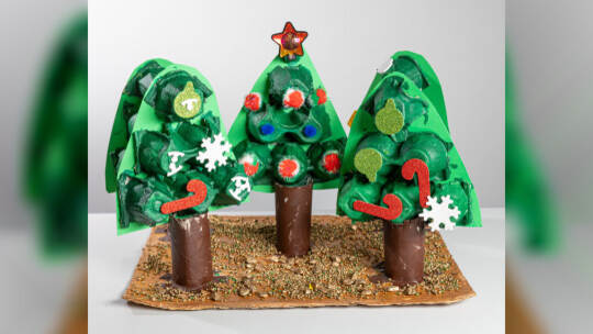 Sam Schmauder (5) Stein