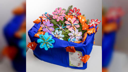 Insel-Grundschule Klasse 1c