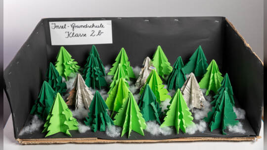 Insel-Grundschule Klasse 2b