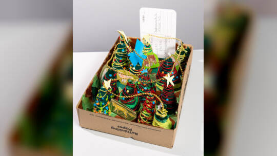 Bohrainschule Klasse 4b