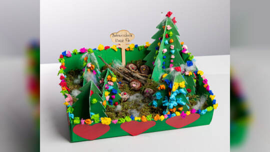 Bohrainschule Klasse 5b